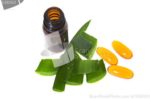 Image of aloe vera - alternative therapy