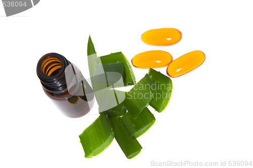 Image of aloe vera - alternative therapy