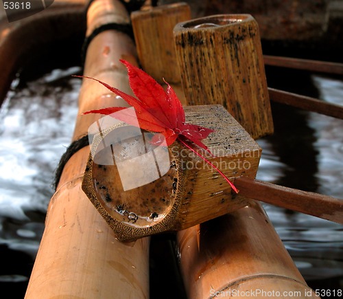 Image of Leaf And Laddle