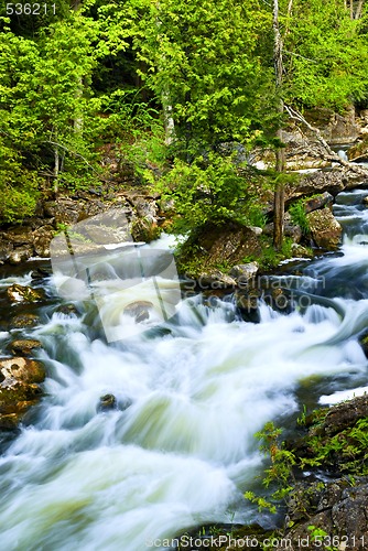 Image of River through woods