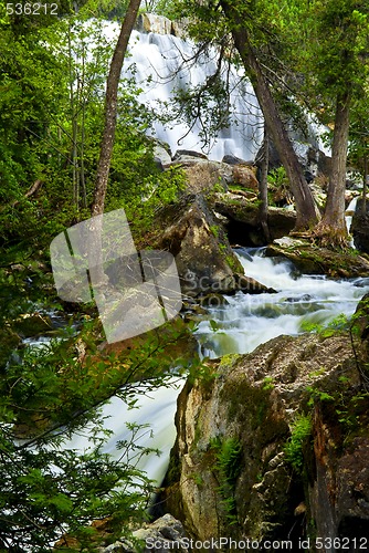 Image of River through woods