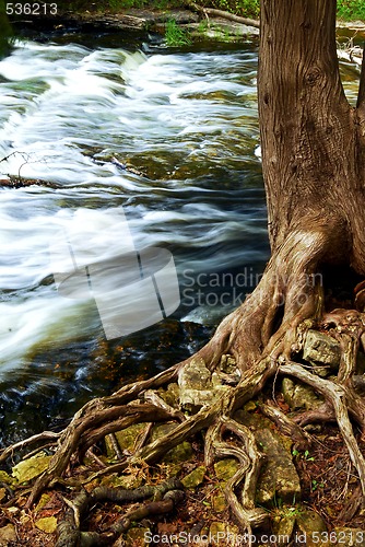 Image of River through woods