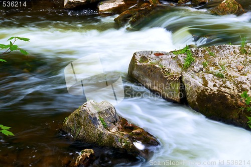 Image of River through woods