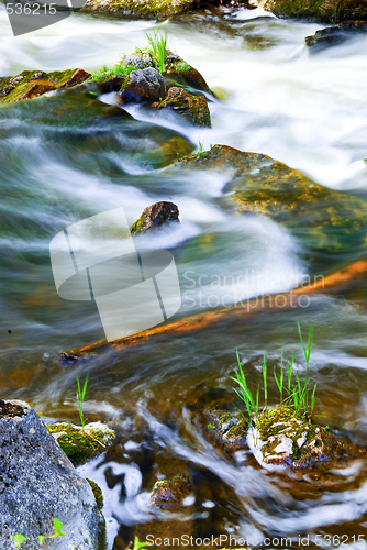 Image of River through woods