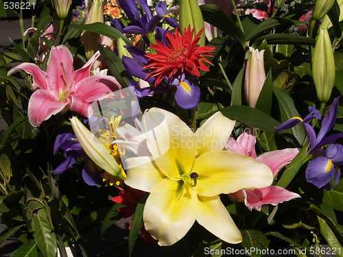 Image of Bunch of flowers