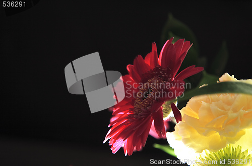 Image of red zinnia and yellow carnation