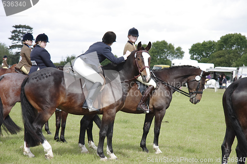 Image of county show dressage 