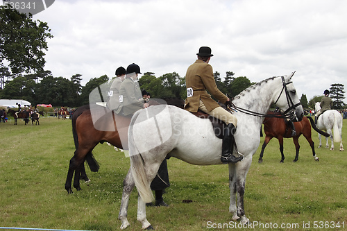 Image of county show dressage 