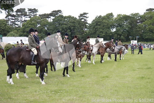 Image of county show dressage 