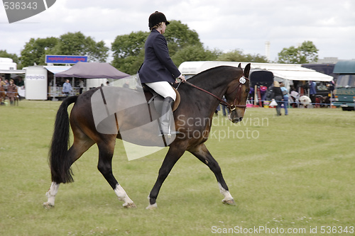 Image of county show dressage 