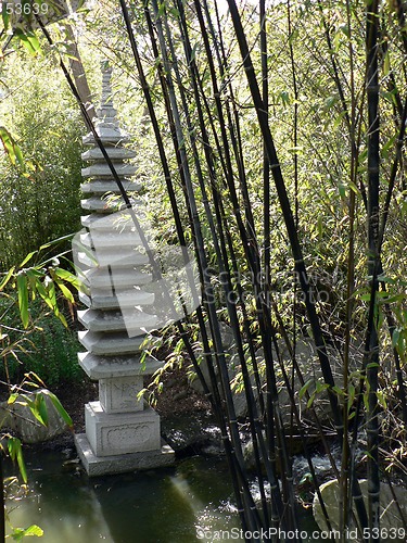 Image of Black Bamboo