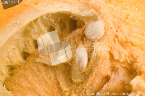 Image of pumpkin half