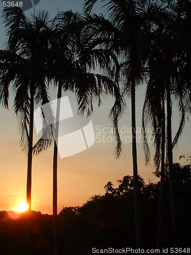 Image of Darwin Sunset