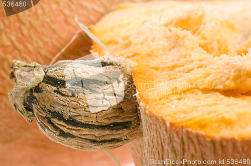 Image of pumpkin half