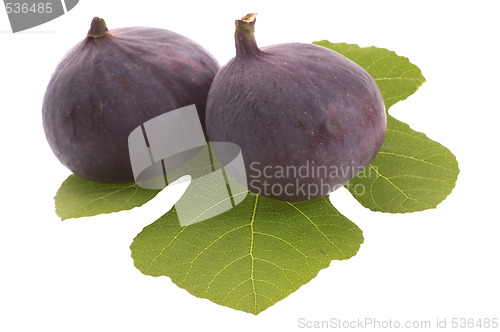 Image of fresh figs