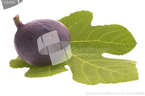 Image of fresh figs