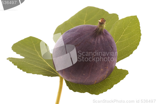 Image of figs on the leaf