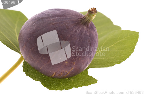 Image of figs on the leaf