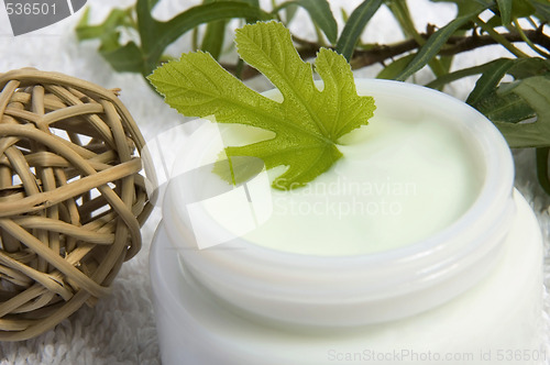 Image of fig cream