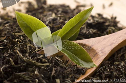 Image of tea