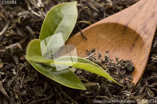 Image of tea