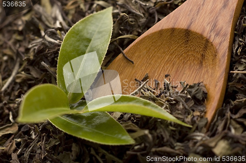 Image of tea