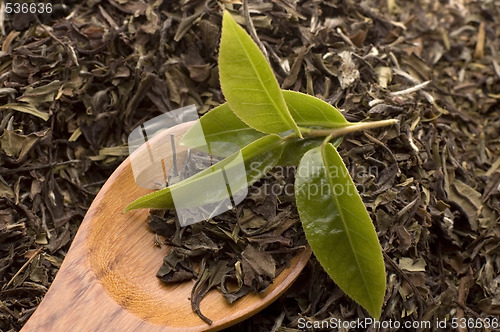 Image of tea