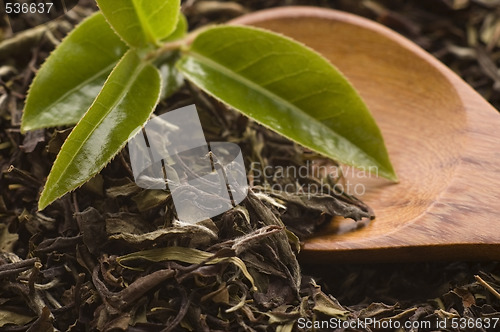 Image of tea