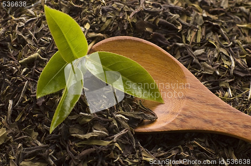 Image of tea