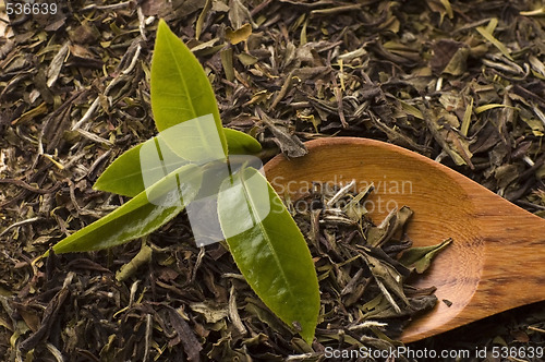 Image of tea