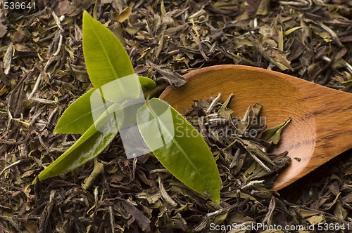 Image of tea