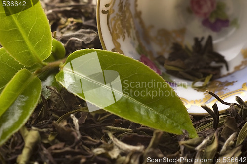 Image of tea