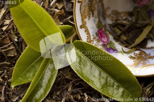 Image of tea