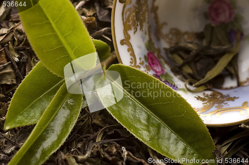 Image of tea