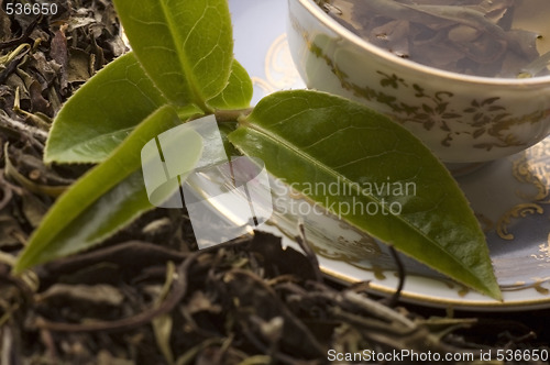 Image of tea