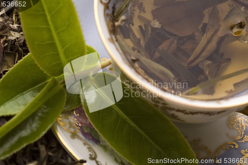 Image of tea