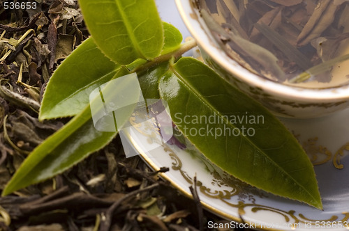 Image of tea