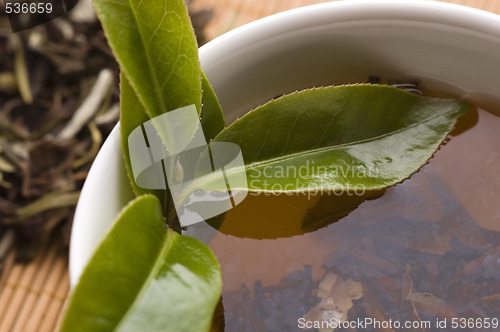 Image of green tea
