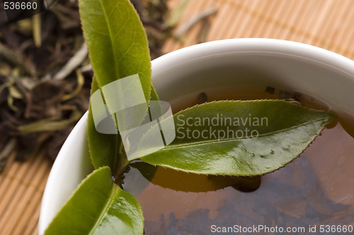 Image of green tea