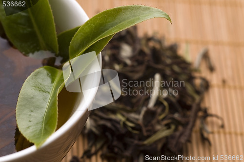 Image of green tea