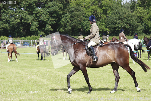 Image of parading horses on show