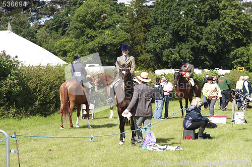 Image of parading horses on show