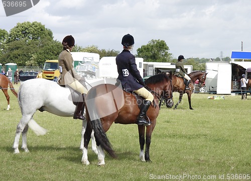 Image of parading horses on show