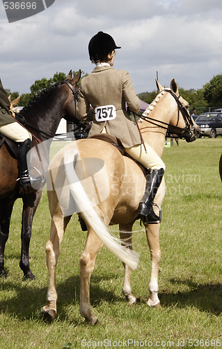 Image of parading horses on show