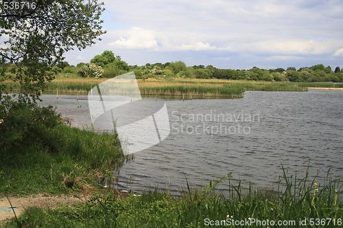 Image of lake for the wildlife