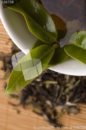 Image of green tea