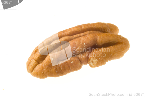 Image of The Last Pecan