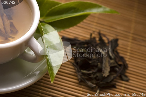 Image of green tea