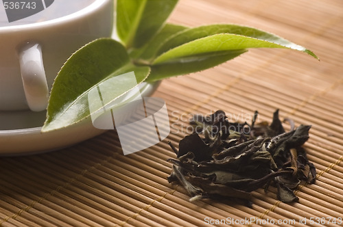 Image of green tea