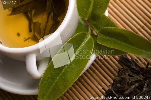 Image of green tea